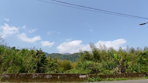 溪頭鳳凰山2759179