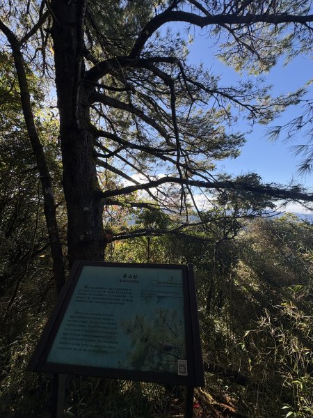 20251225塔山步道(大塔山)2970377