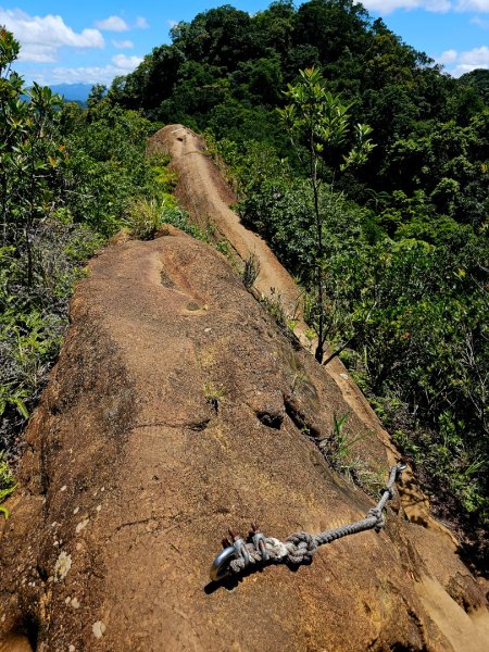 (二格山系)皇帝殿稜線-2025微笑山線大縱走尋寶集章任務2863487