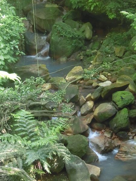 絹絲瀑布．擎天崗．竹篙山352302