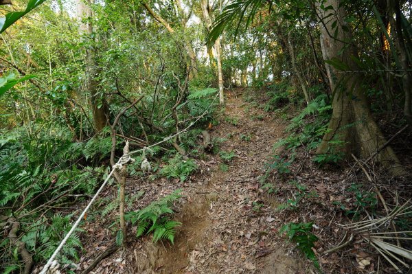 新北-桃園 娘子坑山、烏塗窟山、五十分山2427181