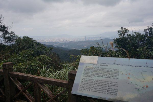 二格山登山步道1911690