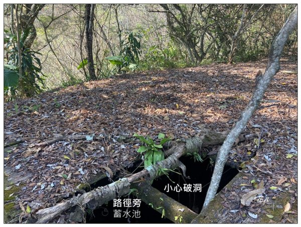 獵人古道、望美山、瓊山 連走3011772