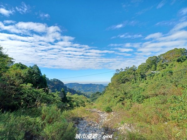 【台中北屯】台灣百大必訪步道。 全台少見的圓木步道。 大坑四號步道 ( 小百岳頭嵙山)1958320