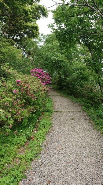 1070401二格山303010