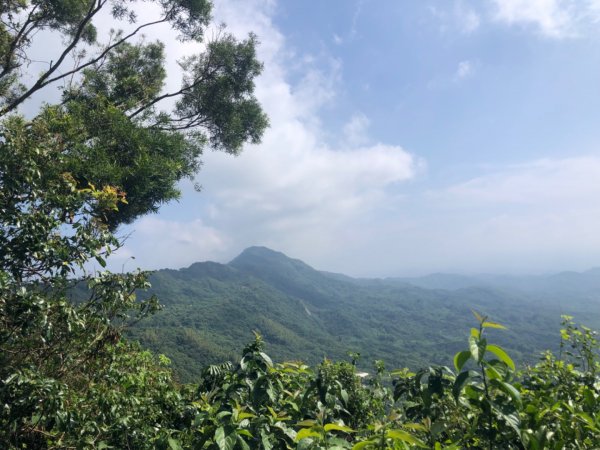 台南市南化區與高雄市內門區交界的龍鱗山（王爺崙山）步道2301084