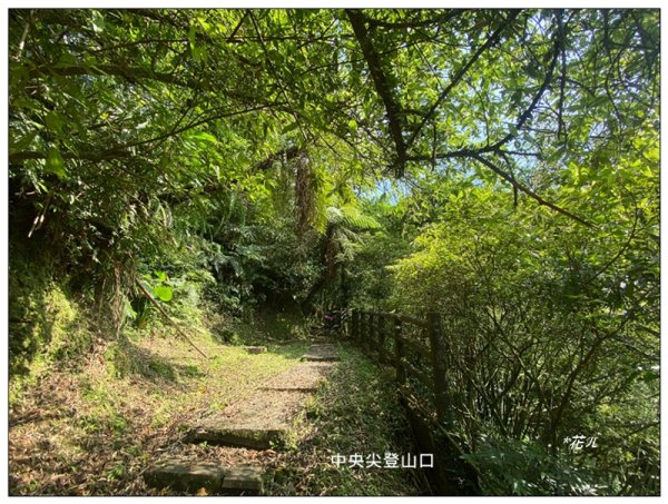 平溪中央尖、慈恩嶺、東勢格步道 O型一圈3072470