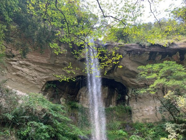 三貂嶺瀑布步道1335247