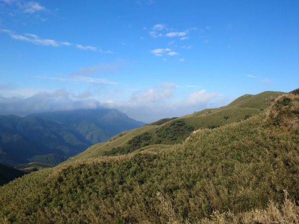 陽明山之七星山主峰2207308