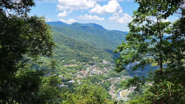 塔曼山，拔刀爾山，美鹿山南峰，內洞林道，大刀山，啦卡登山步道，桃園枕頭山，阿姆坪生態公園，大溪坪古道1795470