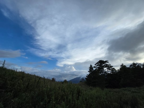 志佳陽大山（回程走高繞環山獵人登山步道）2542203