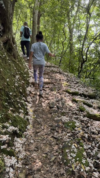 20250504大艽芎古道2837824