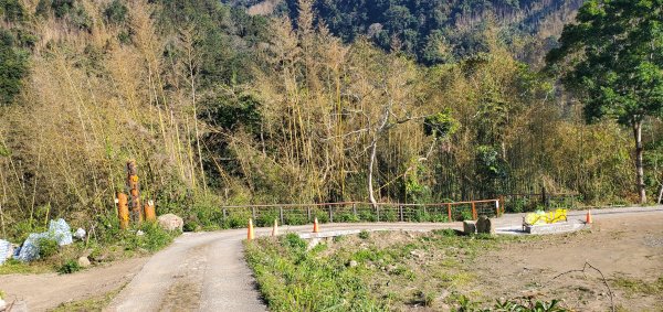 2025-01-30迷糊步道2704466