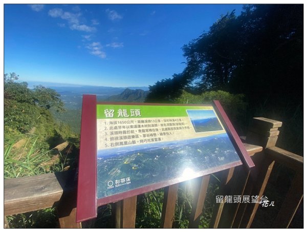 嶺頭山、金柑樹山、忘憂森林 O型一圈2944637