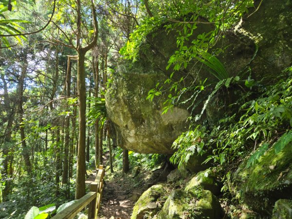 馬武督探索森林、外鳥嘴山2860633