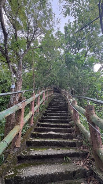 941（旗尾山2905657