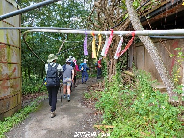 【南投信義】望鄉部落抬頭見玉山。 獵人古道連走、望美山、瓊山2274298