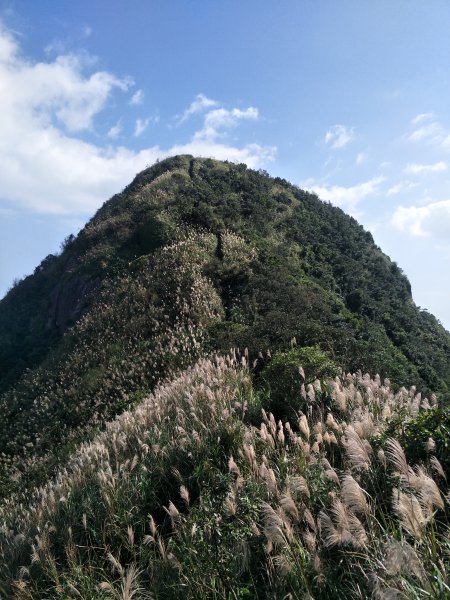 2018 11 30 雷霆峰步道(基隆山東峰、黃金一稜)&基隆山步道468940