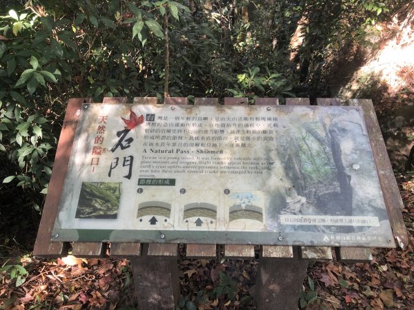 2019.12.01 苗栗馬那邦山761530