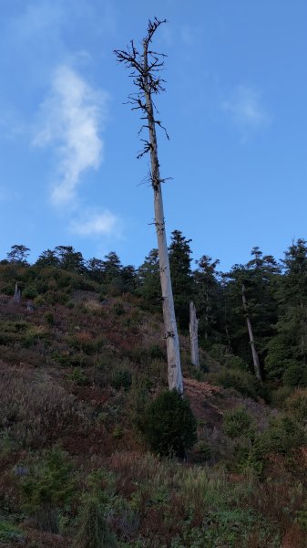 武法奈尾山1946754