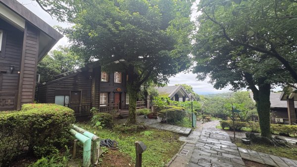 紗帽雲海3074327