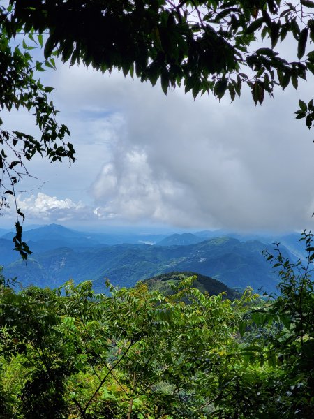 【嘉義|大凍山】多林-頂湖走1010198