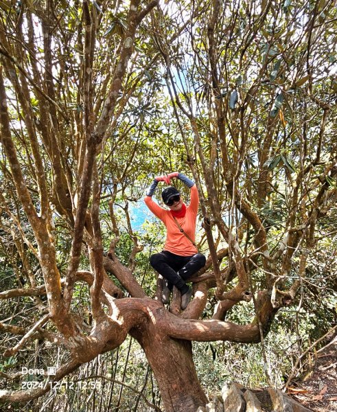 【谷關七雄】波津加(H1771.6m)肉腳配速成功2670479