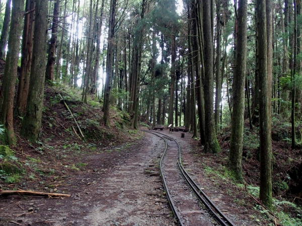 特富野古道90535