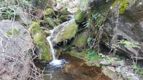 花蓮太魯閣綠水文山步道1791815