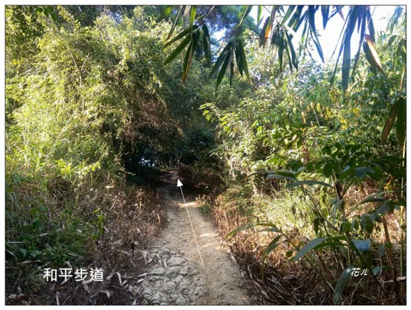 軍功寮山、大坑9、7、6、9-1步道 O型一圈2950806