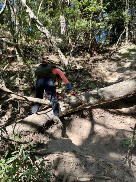 【谷關七雄】波津加(H1771.6m)肉腳配速成功2670575