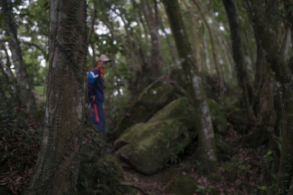 關西赤科山 東獅頭山連走218807