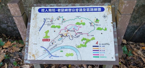 2021-11-14咬人狗坑登山步道(三汀山)1515118