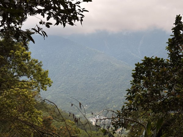 鯉魚山步道群2728331