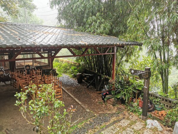 雨中漫步北部山岳-二格山、土庫岳、象山道1136711