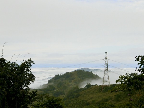 台南第一高山大凍山240774