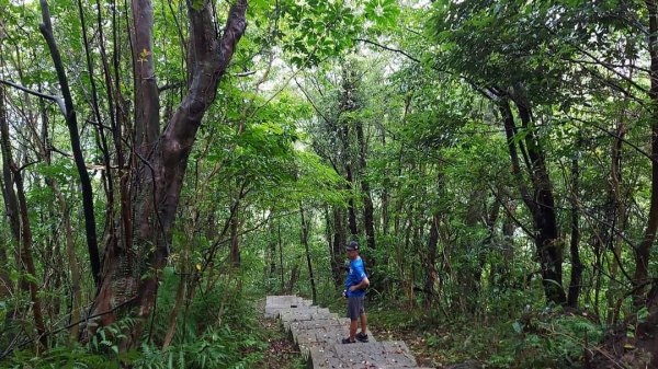 小百岳NO.14 深坑土庫岳。更寮古道 山豬窟尖，小南港山，南港山水綠生態公園2257358