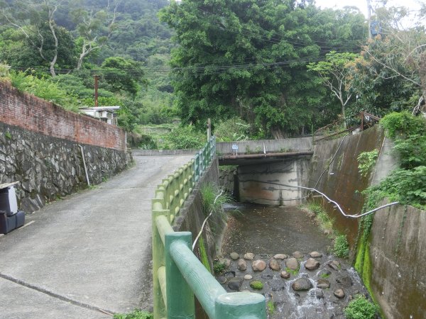 樹梅坑步道．貴子坑步道557936