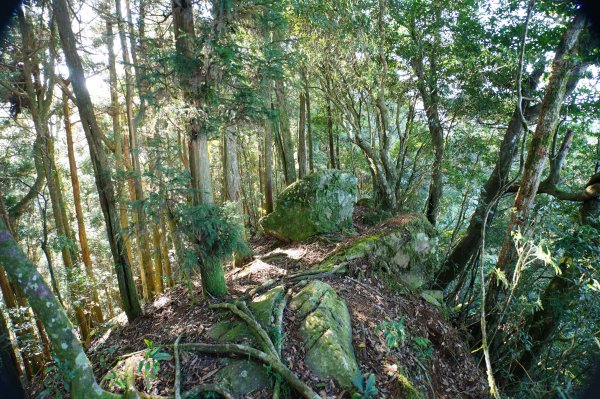 新竹 五峰 鳥嘴山、大窩山2956861