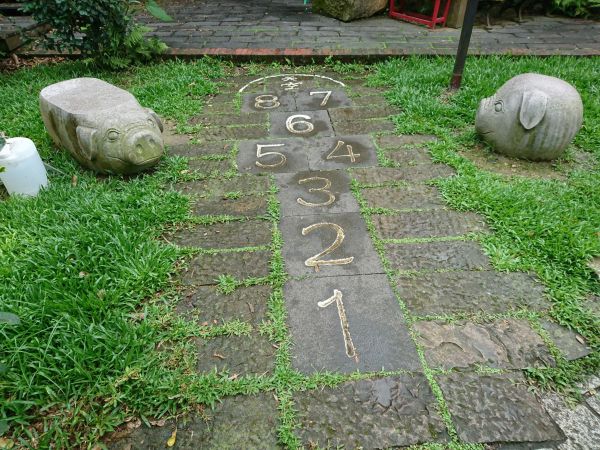 貓空樟樹步道 2017.05.21139511