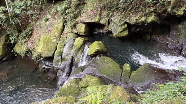 戲水（鴛鴦2786751