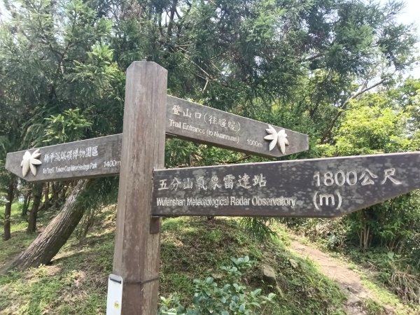 基隆市荖寮坑古道+十分古道(暖東舊道)+頂子寮山(嶺頭土地公)P字走2821571
