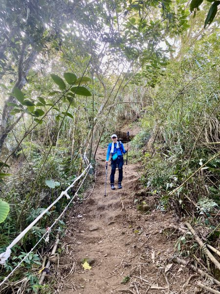 阿拔泉山稜線步道順走大巃頂獨立山O形    2022/3/51630997