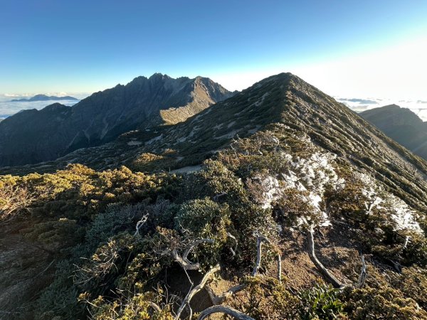 2024/12/20~12/22 帶76歲爸爸補考被山陀兒颱風趕下山~未竟的南玉山，2024完成玉山2675150