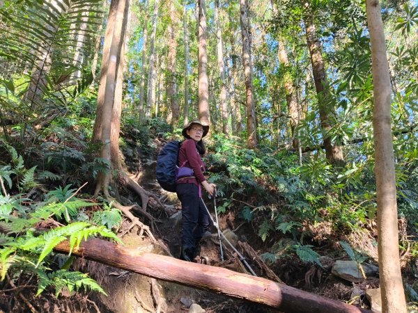 高島縱走202502152713755