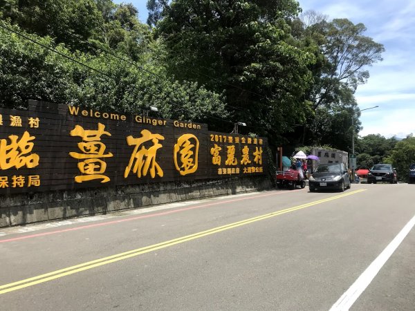 薑麻園桐花步道202006271965410