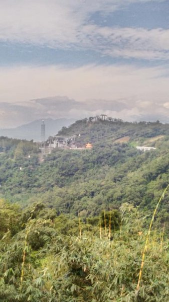 107.11.10 政大環山三路登山口→樟山寺→貓纜站→茶展中心登山口→小天空步道→壺穴步道→長虹橋458633