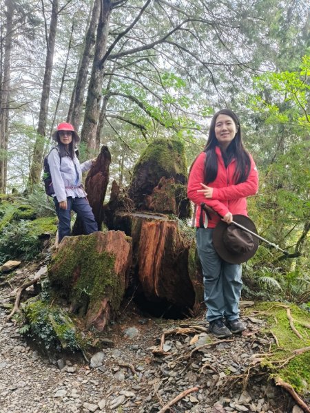 見晴懷古步道2940577