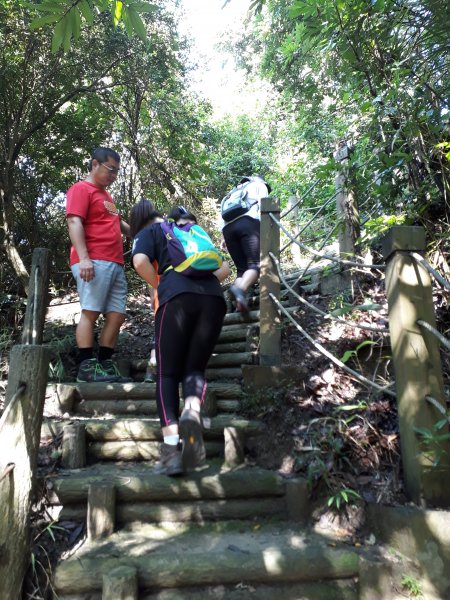 新田山登山步道(聚興山)712983