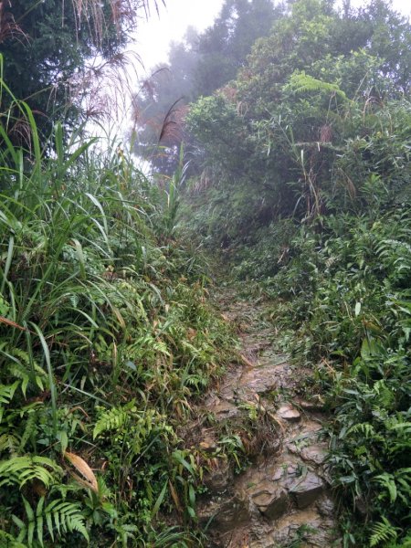 小百岳:五分山1519256